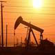 Active pump jacks increase pressure to draw oil toward the surface at the South Belridge Oil Field.